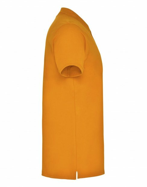 Мужская футболка поло Roly Star to_6638/31 фото