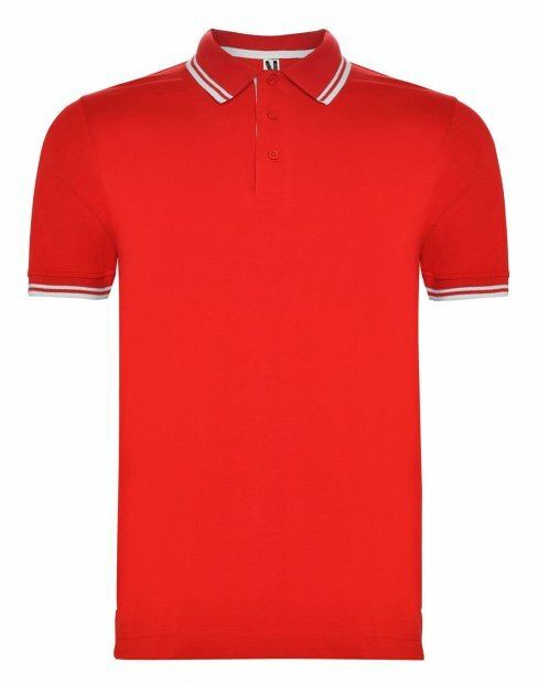 Мужская футболка поло Roly Montreal to_6629/6001 фото