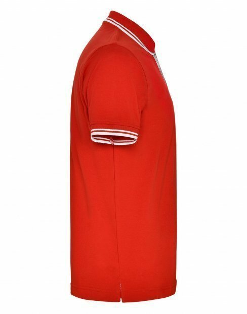 Мужская футболка поло Roly Montreal to_6629/6001 фото