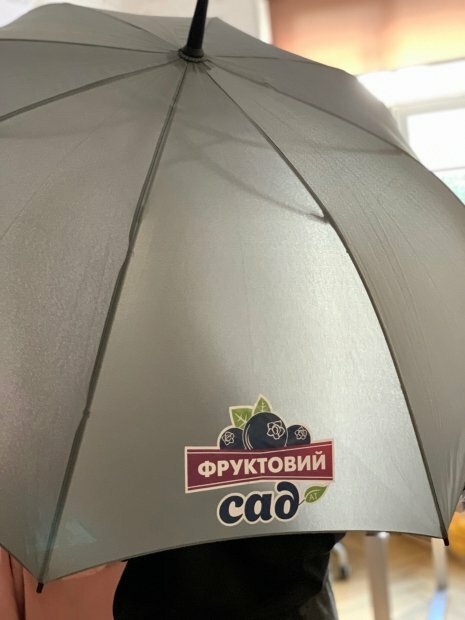 Зонт to_5003/01 фото