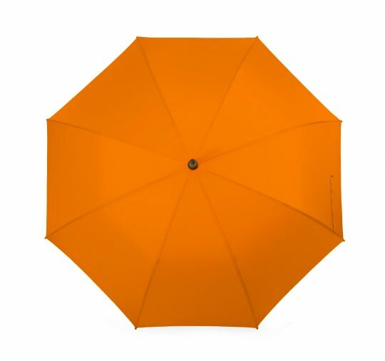 Парасолька to_5003/03 фото