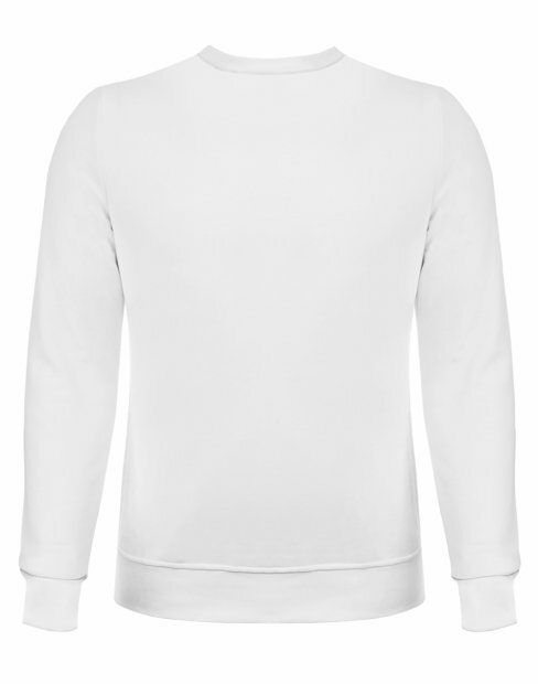 Чоловіча світшот Ray Market Basic U-0301/White фото