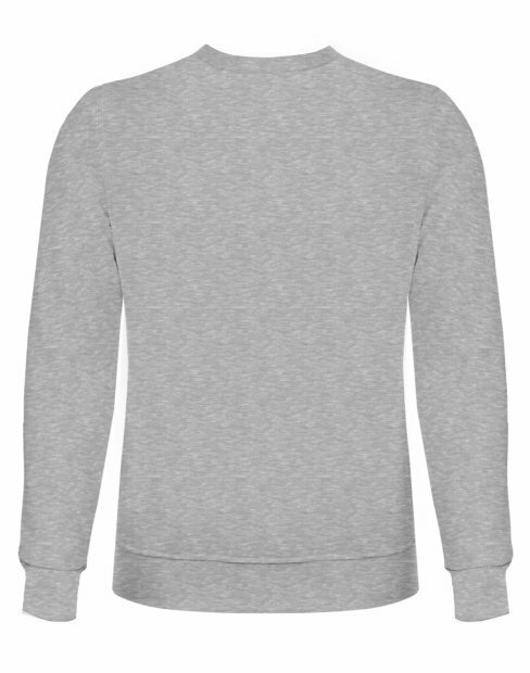 Мужская свитшот RM Basic U-0301/GreyHeather фото