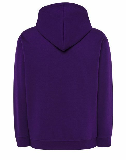 Чоловіча толстовка JHK SWRA KNG SWRAKNG/PU фото