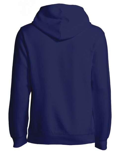 Чоловіча толстовка SOL's SNAKE be_47101/319 фото