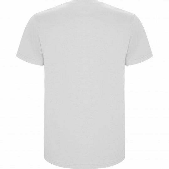 Чоловіча футболка Roly Stafford to_6681/01 фото