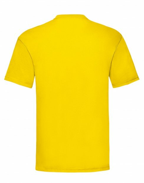 Чоловіча футболка Fruit of the Loom Valueweight 61-036-0/K2 фото