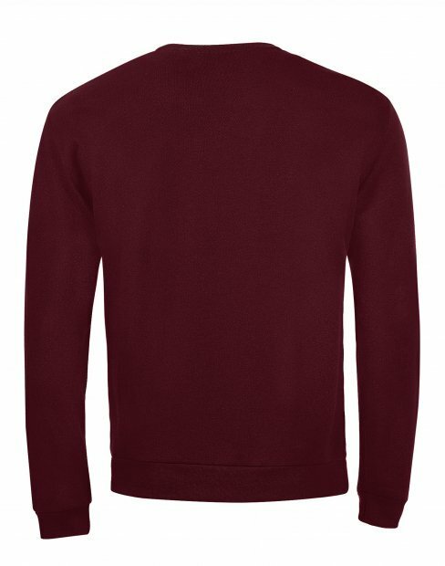 Мужская свитшот SOL's SPIDER be_01168/167 фото