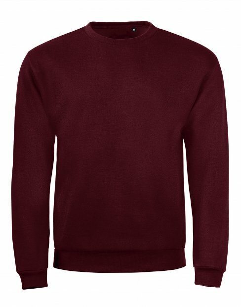 Мужская свитшот SOL's SPIDER be_01168/167 фото