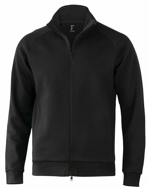 Мужская толстовка на замке Floyd to_7072/08 фото