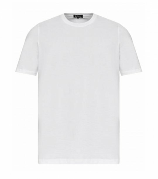 Мужская футболка RM Premium Fit U0102/White фото