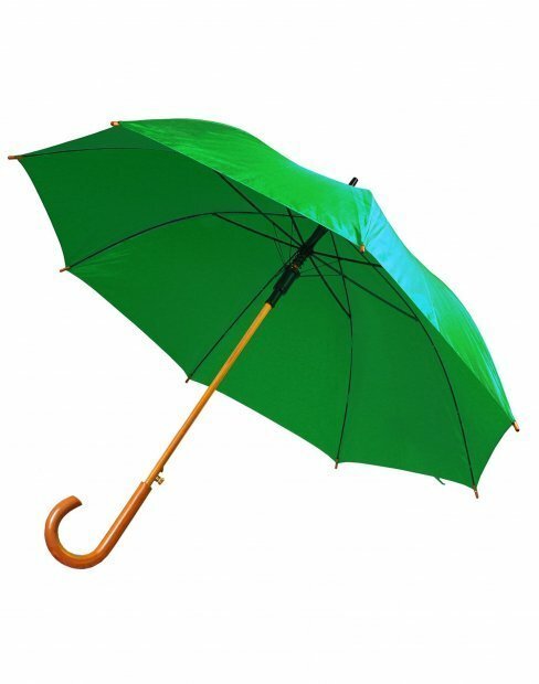 Парасолька to_500/06 фото