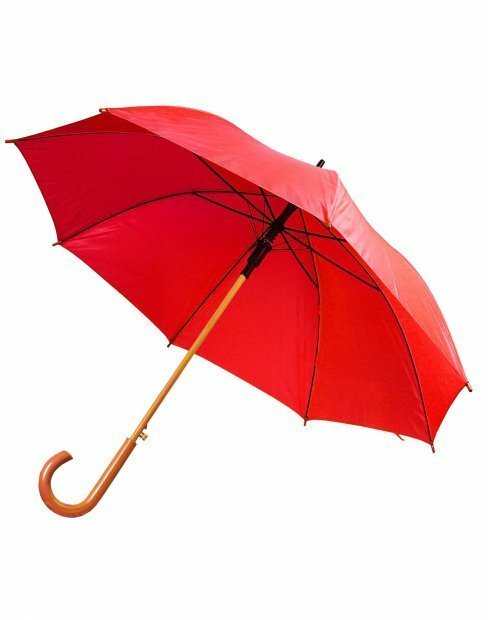 Зонт to_500/04 фото