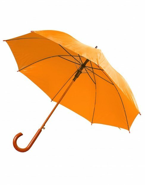 Парасолька to_500/03 фото