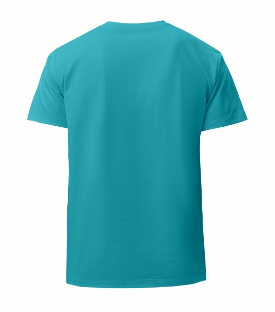 Мужская футболка Maikoff Unisex unisex190/biruza2 фото