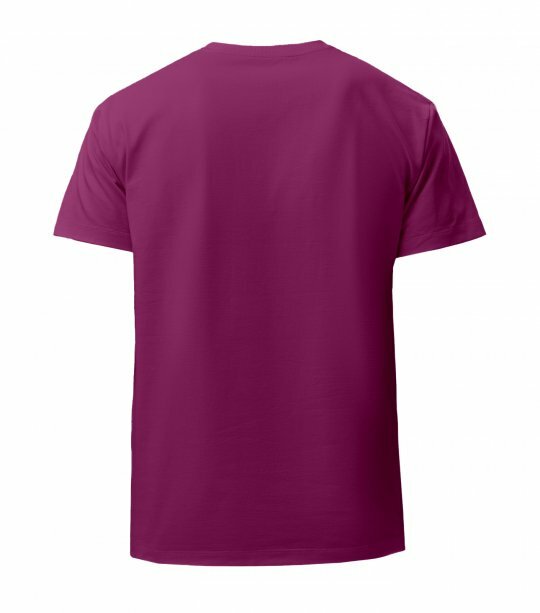 Мужская футболка Maikoff Unisex unisex190/chaina фото