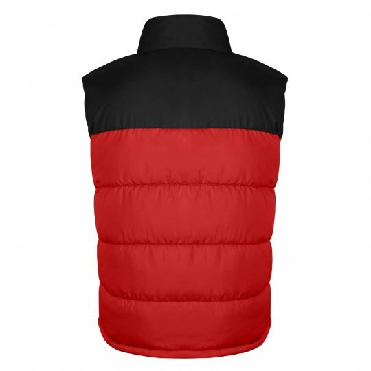 Чоловіча, жіноча жилетка Floyd to_7009/04 фото