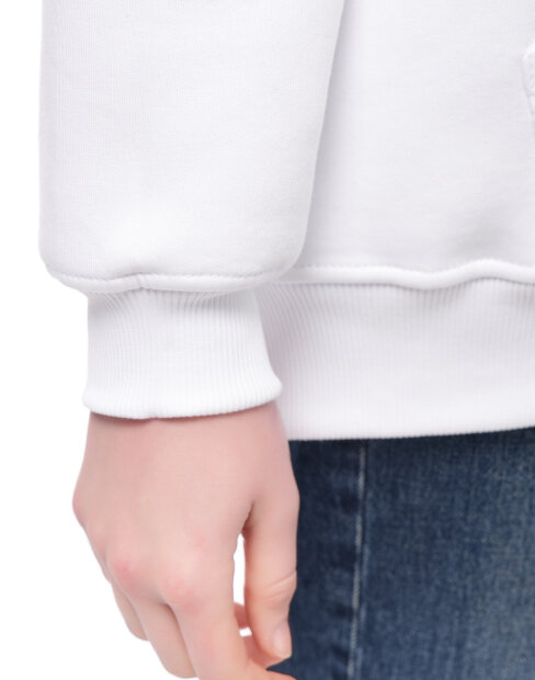 Чоловіча толстовка Maikoff Unisex unisexHoodie/rozhevyi фото