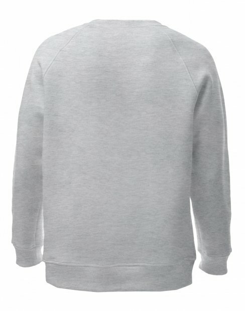 Чоловіча світшот Maikoff Unisex unisexSweatshirt/sv_melanzh фото