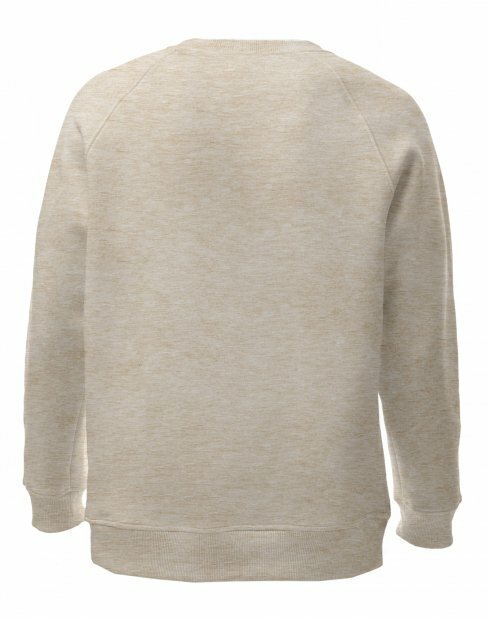 Чоловіча світшот Maikoff Unisex unisexSweatshirt/melanzh_bezh фото