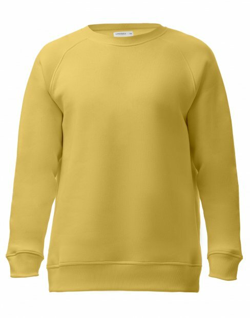 Чоловіча світшот Maikoff Unisex unisexSweatshirt/sv_lemon фото