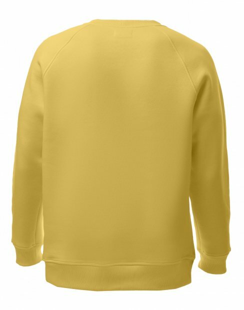 Чоловіча світшот Maikoff Unisex unisexSweatshirt/sv_lemon фото