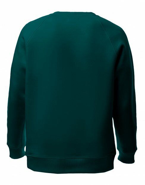 Мужская свитшот Maikoff Unisex unisexSweatshirt/morska_khvilya фото