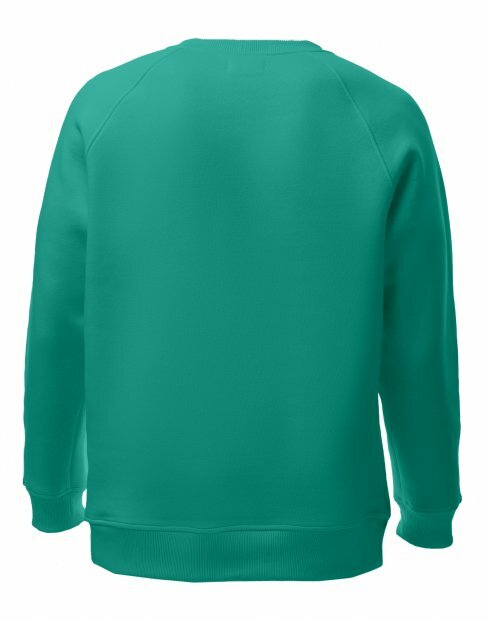 Мужская свитшот Maikoff Unisex unisexSweatshirt/mint фото