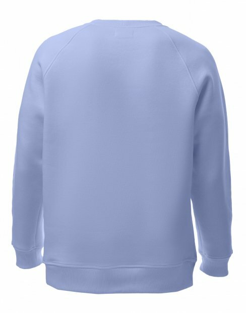 Чоловіча світшот Maikoff Unisex unisexSweatshirt/sv_blakytnyi фото