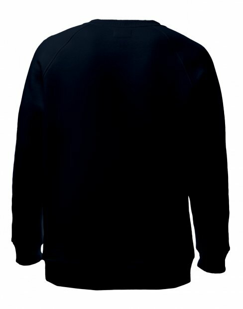 Мужская свитшот Maikoff Unisex unisexSweatshirt/tm_syniy фото
