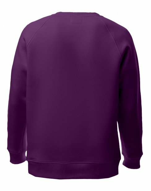 Чоловіча світшот Maikoff Unisex unisexSweatshirt/fioletoviy фото