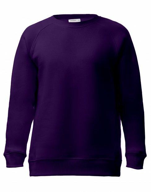 Чоловіча світшот Maikoff Unisex unisexSweatshirt/tm_fiolet фото