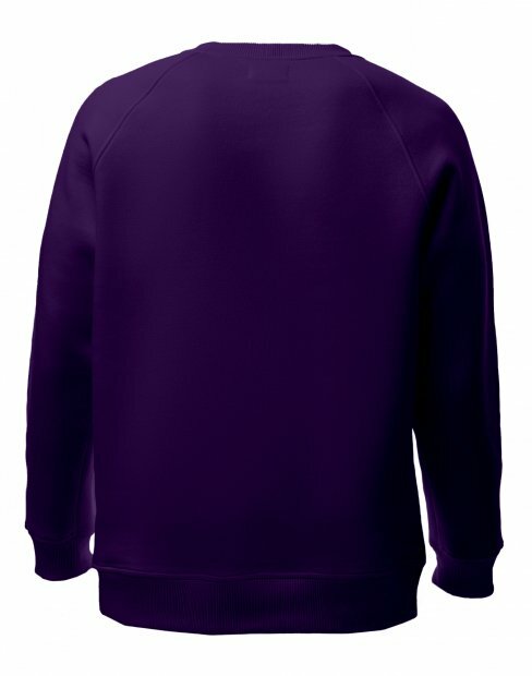 Чоловіча світшот Maikoff Unisex unisexSweatshirt/tm_fiolet фото