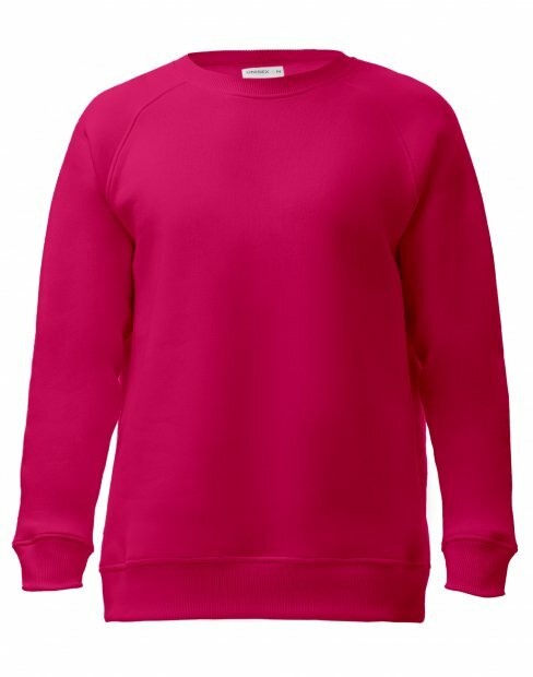 Чоловіча світшот Maikoff Unisex unisexSweatshirt/malyna фото