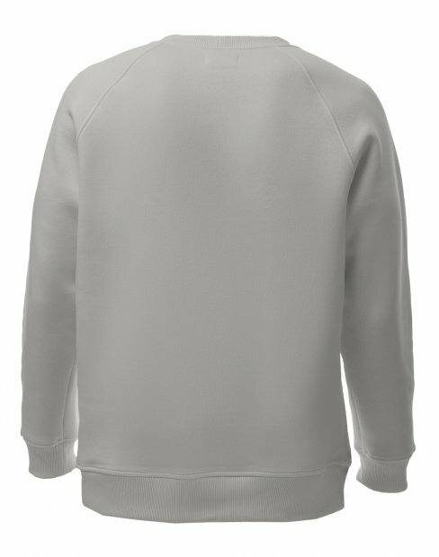 Мужская свитшот Maikoff Unisex unisexSweatshirt/sv_siryi фото