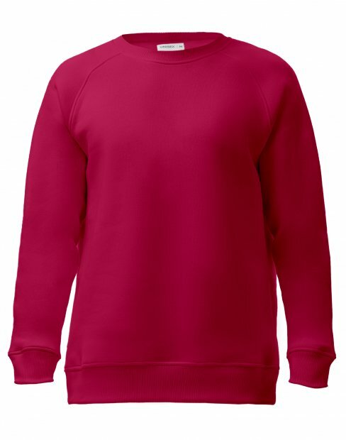 Чоловіча світшот Maikoff Unisex unisexSweatshirt/tm_malyna фото