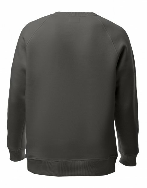 Мужская свитшот Maikoff Unisex unisexSweatshirt/sv_gri фото