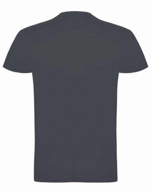 Мужская футболка RM Premium Fit U0102/DarkGrey фото