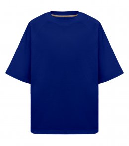 Футболка Maikoff Oversize Raglan 190 Василёк