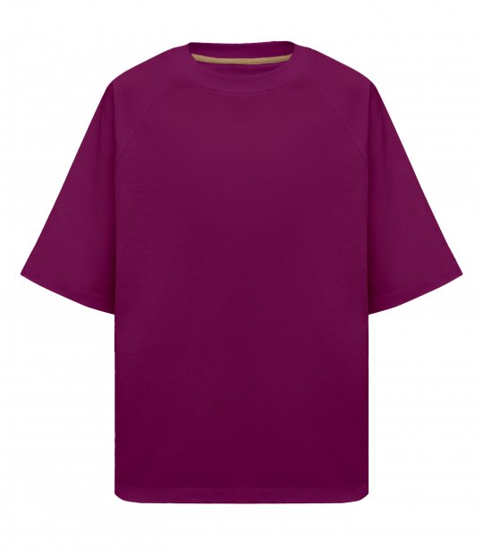 Мужская футболка Maikoff Oversize oversizeRG190/chaina фото