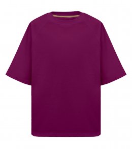 Футболка Maikoff Oversize Raglan 190 Чайна