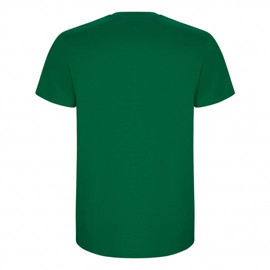 Чоловіча футболка Roly Stafford to_6681/20 фото