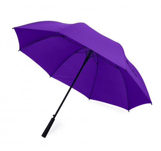 Парасолька to_5003/16 фото