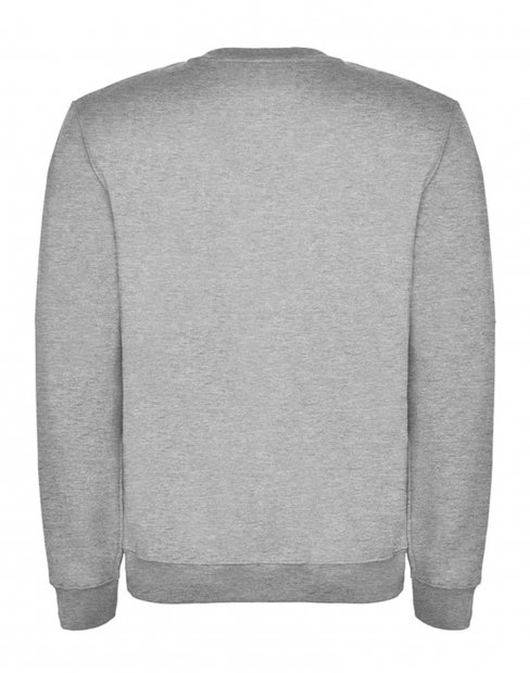 Мужская, женская облегченный свитшот, свитшот Floyd to_7038/10 фото