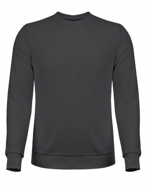 Чоловіча світшот Ray Market Basic U-0301/graphite фото