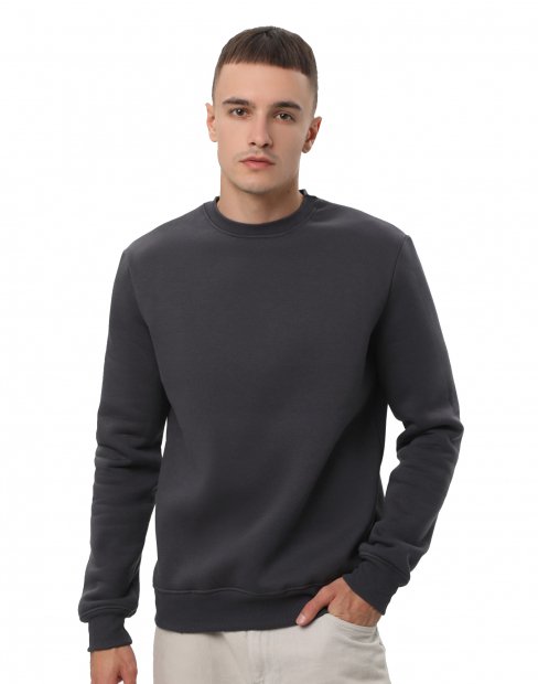 Чоловіча світшот Ray Market Basic U-0301/graphite фото