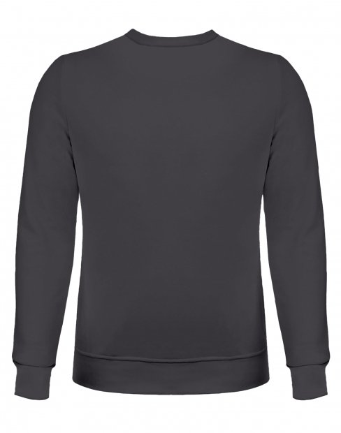 Чоловіча світшот Ray Market Basic U-0301/graphite фото