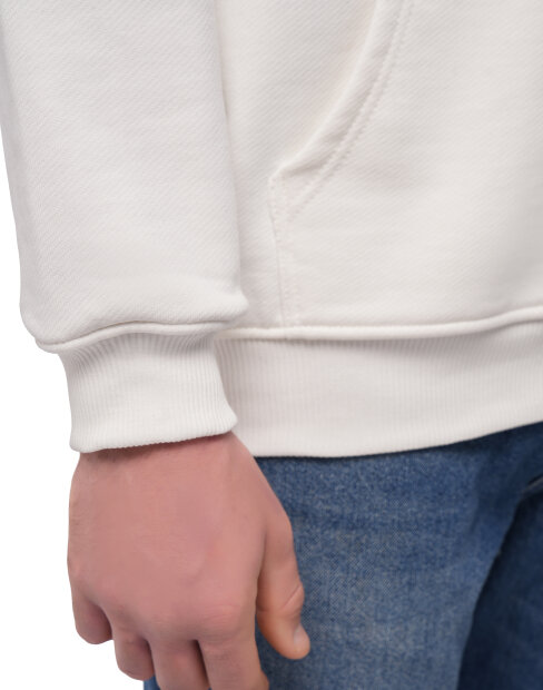 Мужская, женская толстовка Maikoff diagonalHoodie/shampan фото