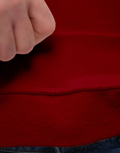 Мужская, женская толстовка Maikoff diagonalHoodie/red_dark фото