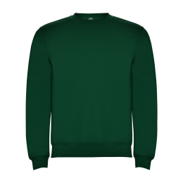 Мужской свитшот Roly Clasica 280 Зеленый
